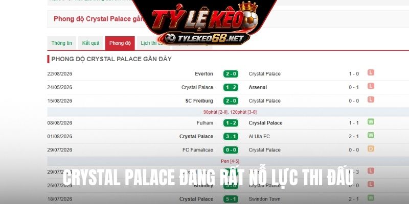 Crystal Palace đang rất nỗ lực thi đấu