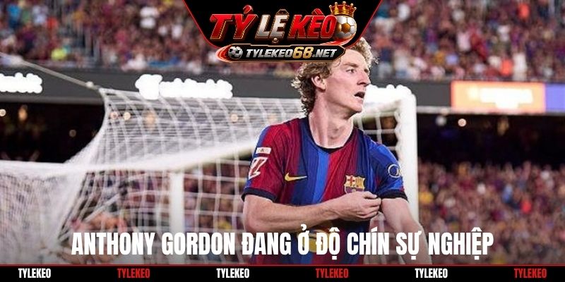 Anthony Gordon đang ở độ chín sự nghiệp
