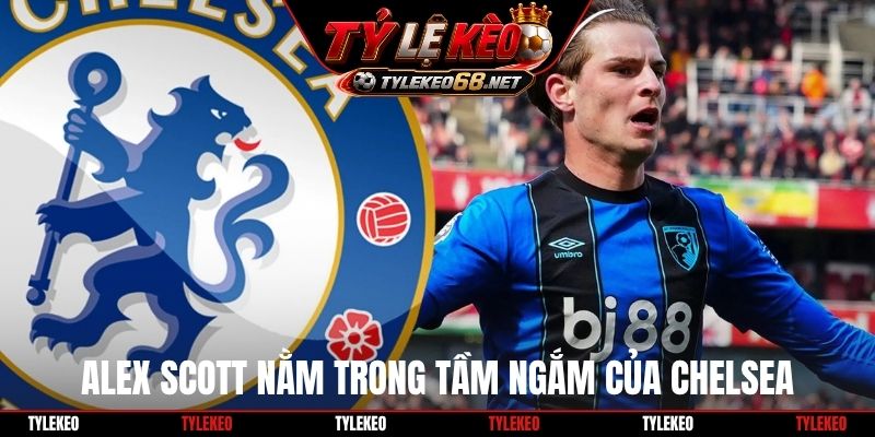 Alex Scott nằm trong tầm ngắm của Chelsea