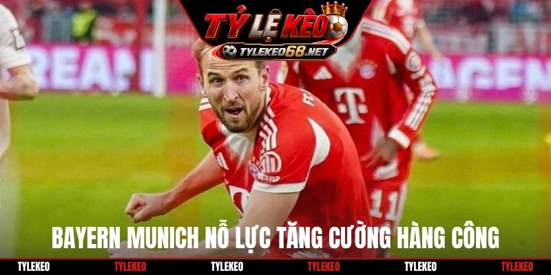 Bayern Munich nỗ lực tăng cường hàng công