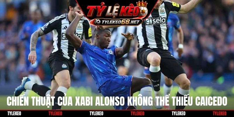 Chiến thuật của Xabi Alonso không thể thiếu Caicedo