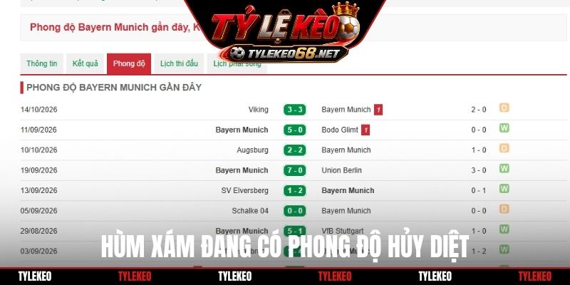 Hùm Xám đang có phong độ hủy diệt