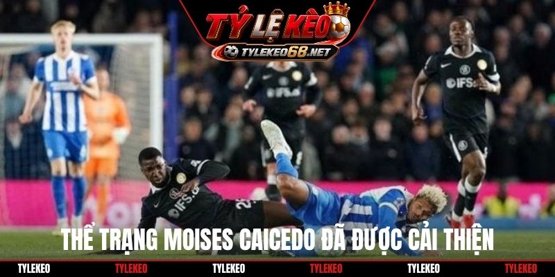 Thể trạng Moises Caicedo đã được cải thiện